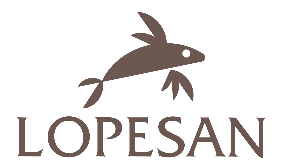 Lopesan Hotels & Resorts
